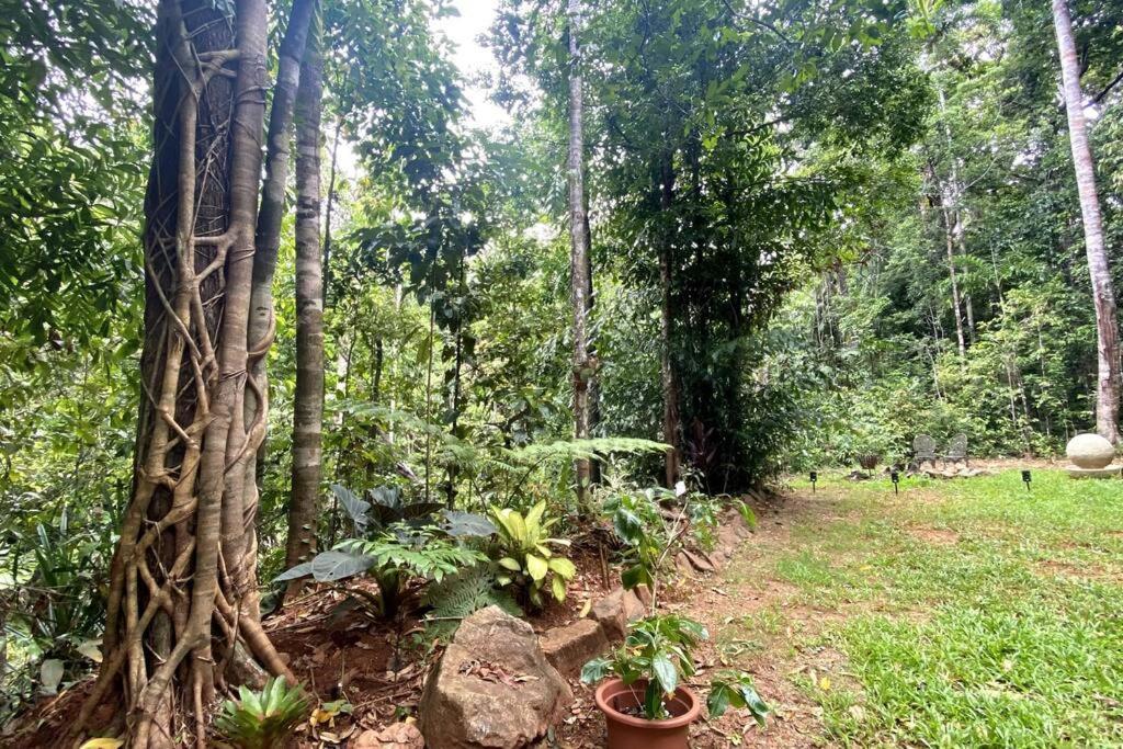 Zen Eco House Villa Cow Bay Exterior photo